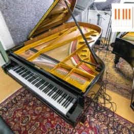 August Förster 215cm Konzertflügel - Bj 1965 - renoviert 20% Mwst.