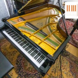 C. Bechstein IV 220cm Konzertflügel 1896 - Neuwertig 20% Mwst.