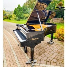 Julius Blüthner Leipzig 190cm Bj 1900 - Neuwertig 20% Mwst. Musism.com Flügel & Konzertflügel Bechstein musism Blüthner - Wien Österreich