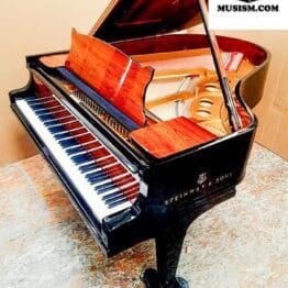 (Verkauft) STEINWAY & SONS ONE SIX FIVE Limited Edition O 180cm Bj 1920 20% Mwst. Musism.com Flügel & Konzertflügel Bechstein musism steinway 0 180cm limited edition (2 of 7) Wien Österreich