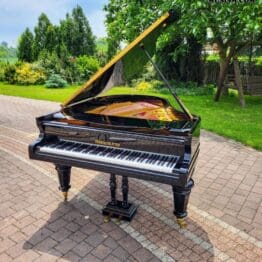 Flügel Schiedmayer & Soehne 180cm Bj 1921 - Neuwertig 20% Mwst. Musism.com Flügel & Konzertflügel Flügel musism Schiedmayer 180 cm 1921 -131312 Wien Österreich