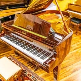 Flügel Feurich Salonflügel, Mod. 190 cm Palisander Bj 1978 Neuwertig deutsche Producktion Musism.com Flügel & Konzertflügel Feurich Steinway Bösendorfer Bechstein Klaviergalerie (66 of 163) Wien Österreich