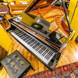 Bösendorfer Salonflügel Mod. 213 cm Bj 1992- Neuwertig Musism.com Flügel & Konzertflügel Bechstein Steinway Bösendorfer Bechstein Klaviergalerie (75 of 163) Wien Österreich