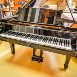 Flügel Steinway & Sons Mod. M-170 Hamburg Bj 1962 Musism.com Flügel & Konzertflügel Bechstein Steinway M 170 (1 of 1) Wien Österreich