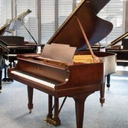 Flügel von Steinway & Sons, Modell M-170, Mahagoni, Baujahr 1919