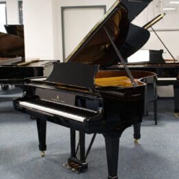 gebrauchter Steinway & Sons Flügel M-170, Baujahr 1925