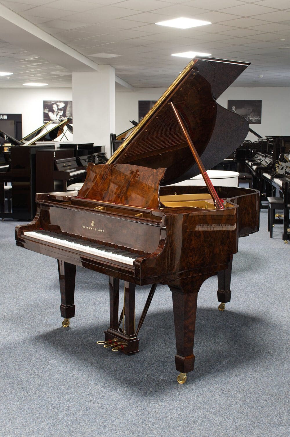 Gebrauchter Steinway & Sons Flügel M170 aus Wurzelholz, Baujahr 1917