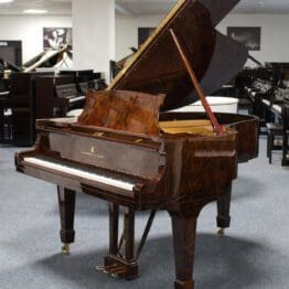 Gebrauchter Steinway & Sons Flügel M170 aus Wurzelholz, Baujahr 1917