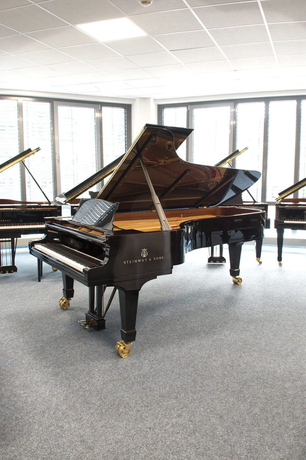 Gebrauchter Steinway & Sons Flügel, Modell D-274, Baujahr 1893