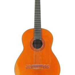 Jose Ruiz Pedregosa 1993 'negra' - Meistergitarre für Flamenco - Unglaubliches Video!