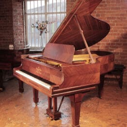 Steinway Model A Flügel 1905