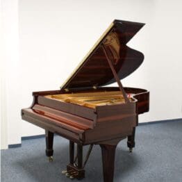 Flügel von Steinway & Sons, Modell M-170, aus Palisander, Baujahr 1916